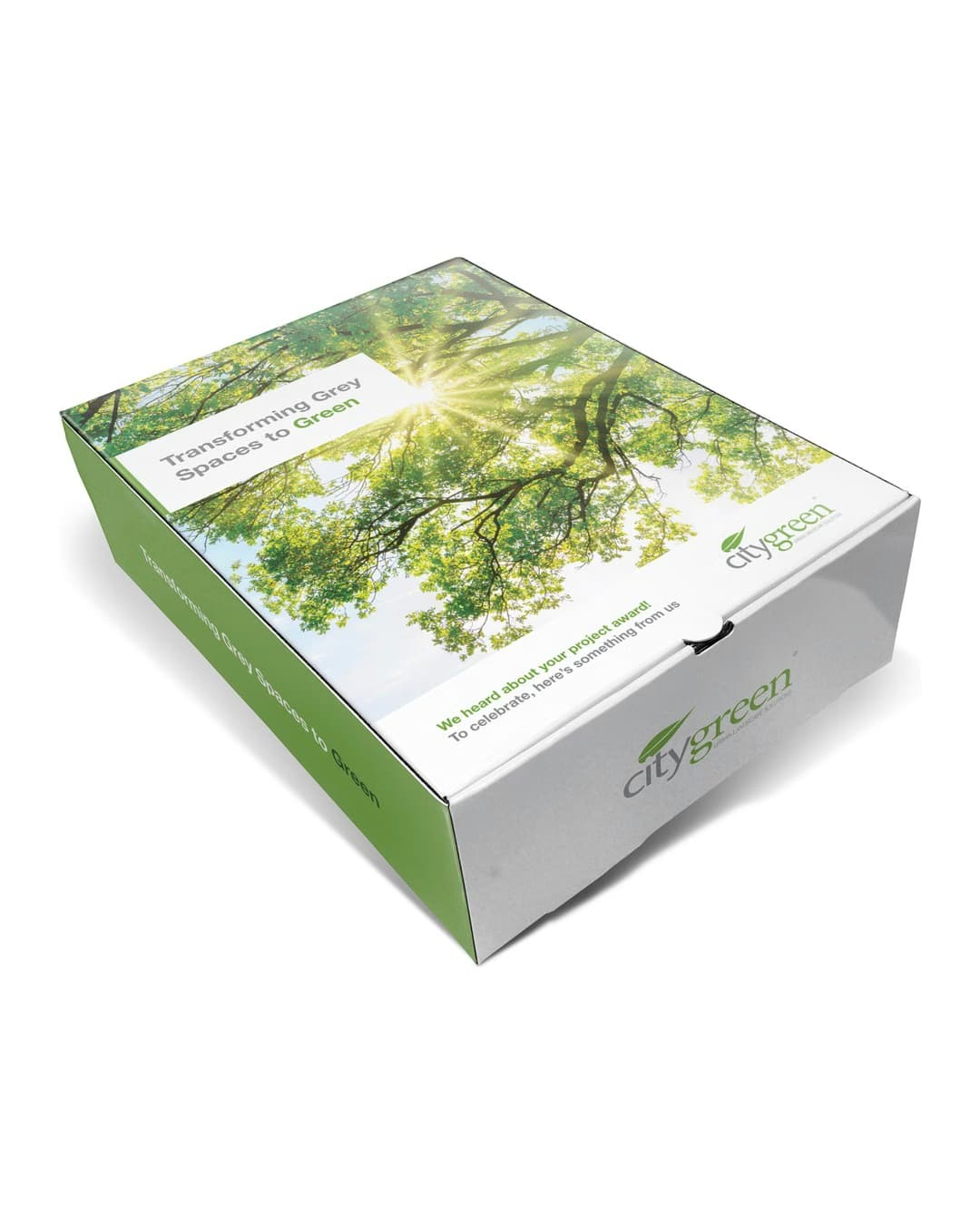 Atlas Custom Presentation Box - 10" x 14" x 4"